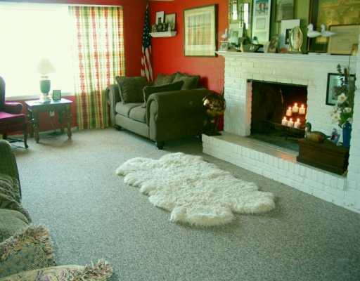 747 Pinetree Road Mt. Lebanon, PA 15243 - Photo 3 of 8 Den/Family/Great Room.