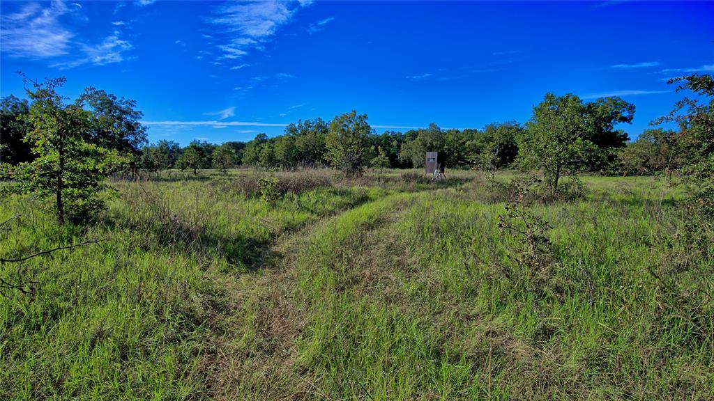 4 4 Wire Road Bowie, TX 76230 - Photo 25 of 39 a view of a green field