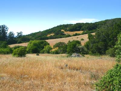 901 Warrington Road Santa Rosa, CA 95404 - Photo 3 of 10 a view of a road with a yard