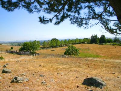 901 Warrington Road Santa Rosa, CA 95404 - Photo 9 of 10 a view of lake with green space