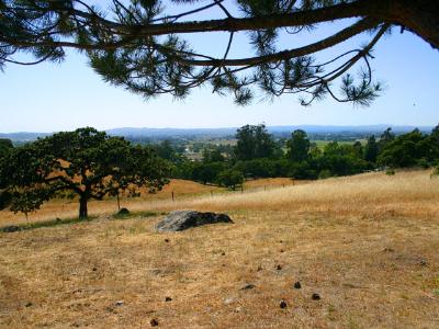 901 Warrington Road Santa Rosa, CA 95404 - Photo 10 of 10 a view of a backyard of a house