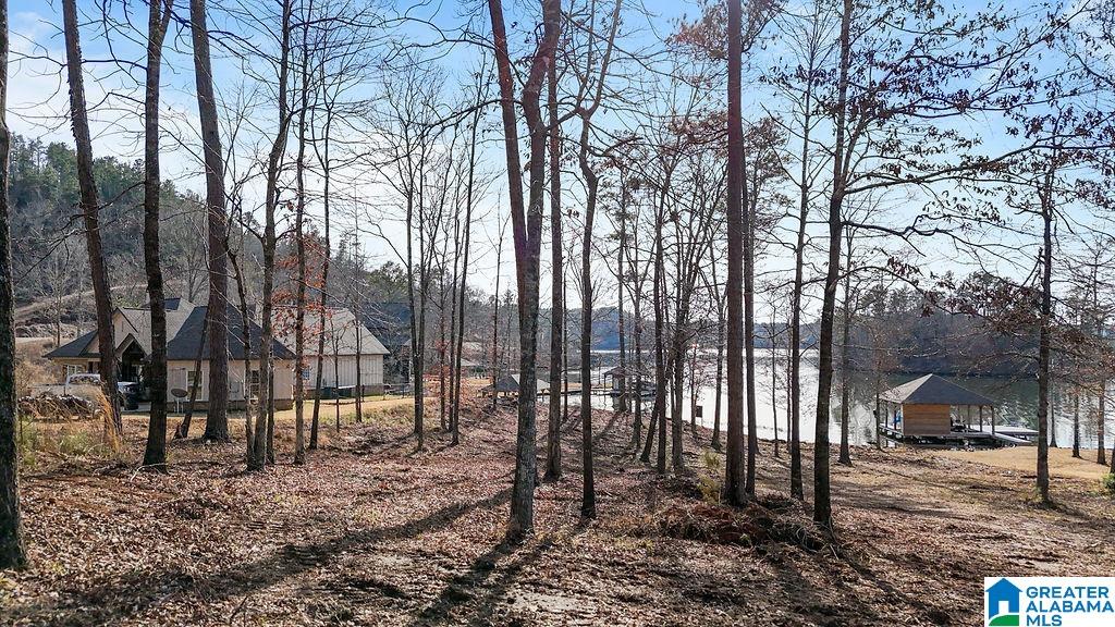 2147 Eagle Mountain Road, Unit 12 Rockford, AL 35136 - Photo 20 of 22