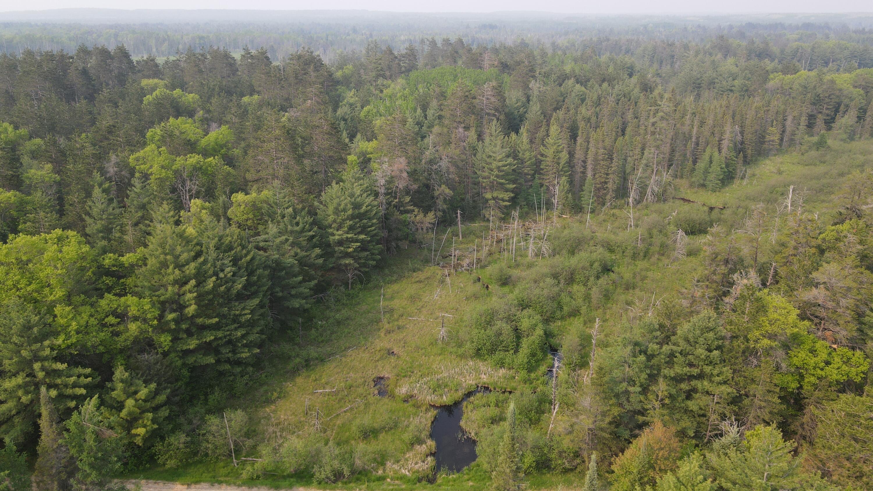 Parcel B Cherry Creek Road Grayling, MI 49738 - Photo 4 of 25 DJI_0930