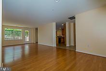 4800 Coyle Road, Unit 209 Owings Mills, MD 21117 - Photo 5 of 38 Enormous Open Concept Living Room/ Dining Room