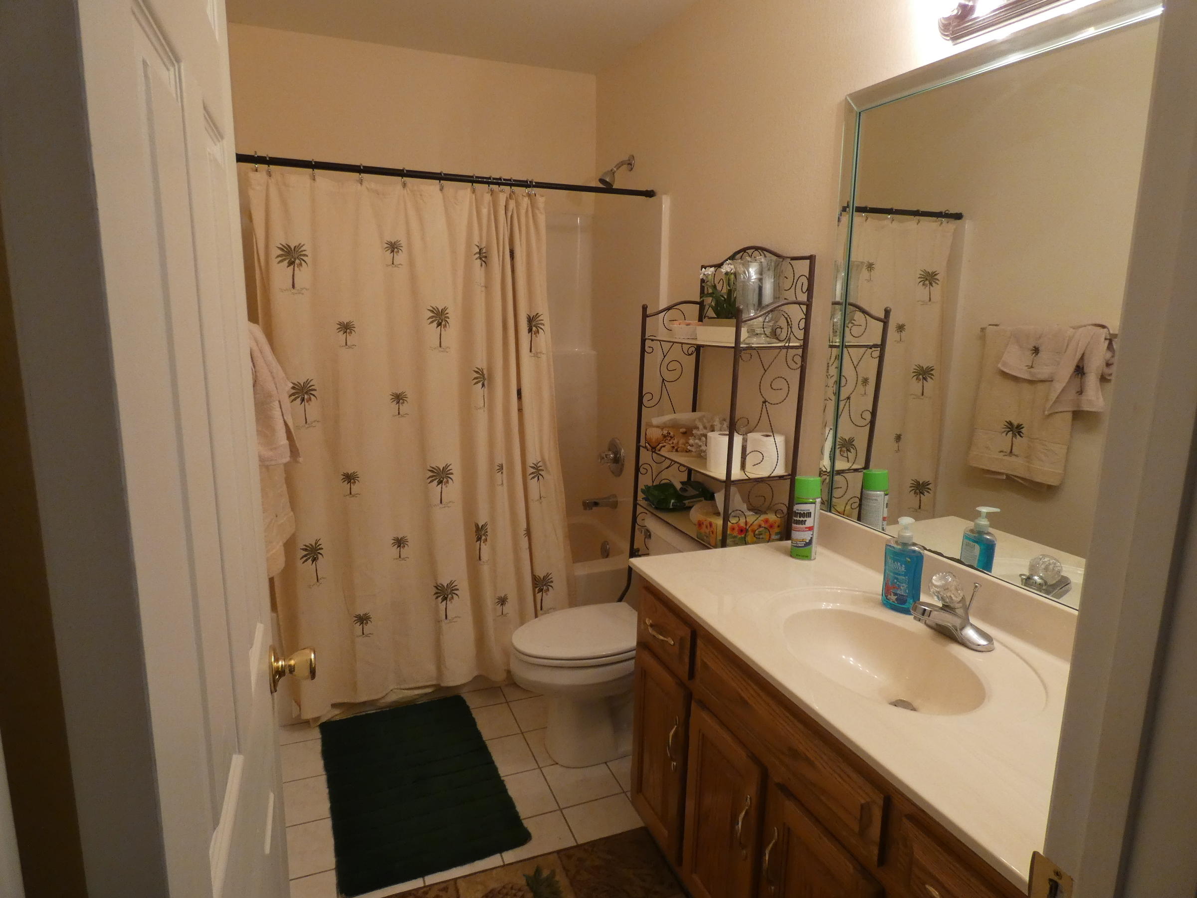 1289 Spring Meadows Drive Ringgold, GA 30736 - Photo 15 of 19 P1000728
