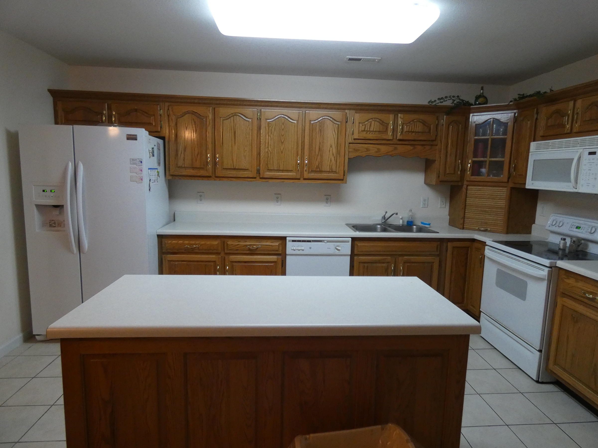 1289 Spring Meadows Drive Ringgold, GA 30736 - Photo 8 of 19 P1000742