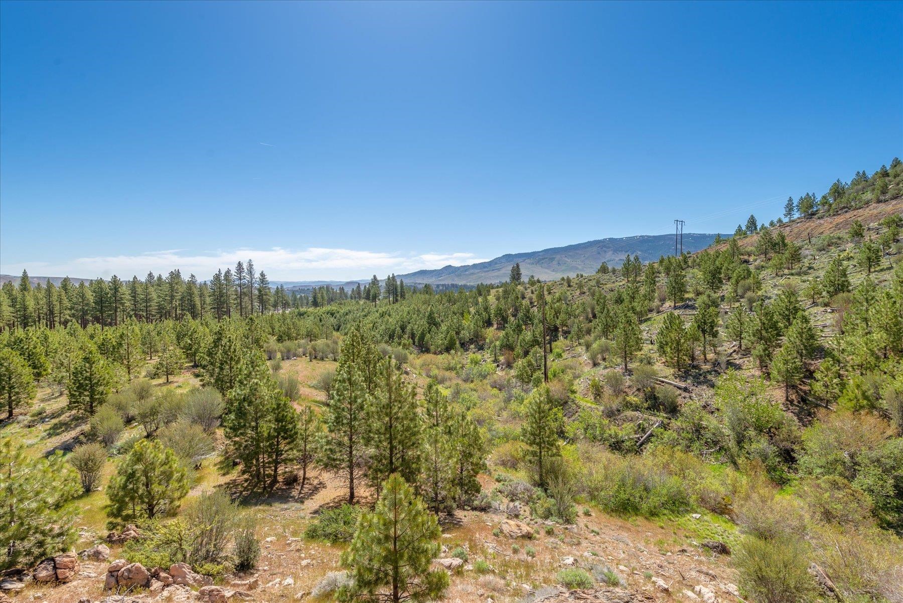 Feenune Road Loyalton, CA 96118 - Photo 19 of 28