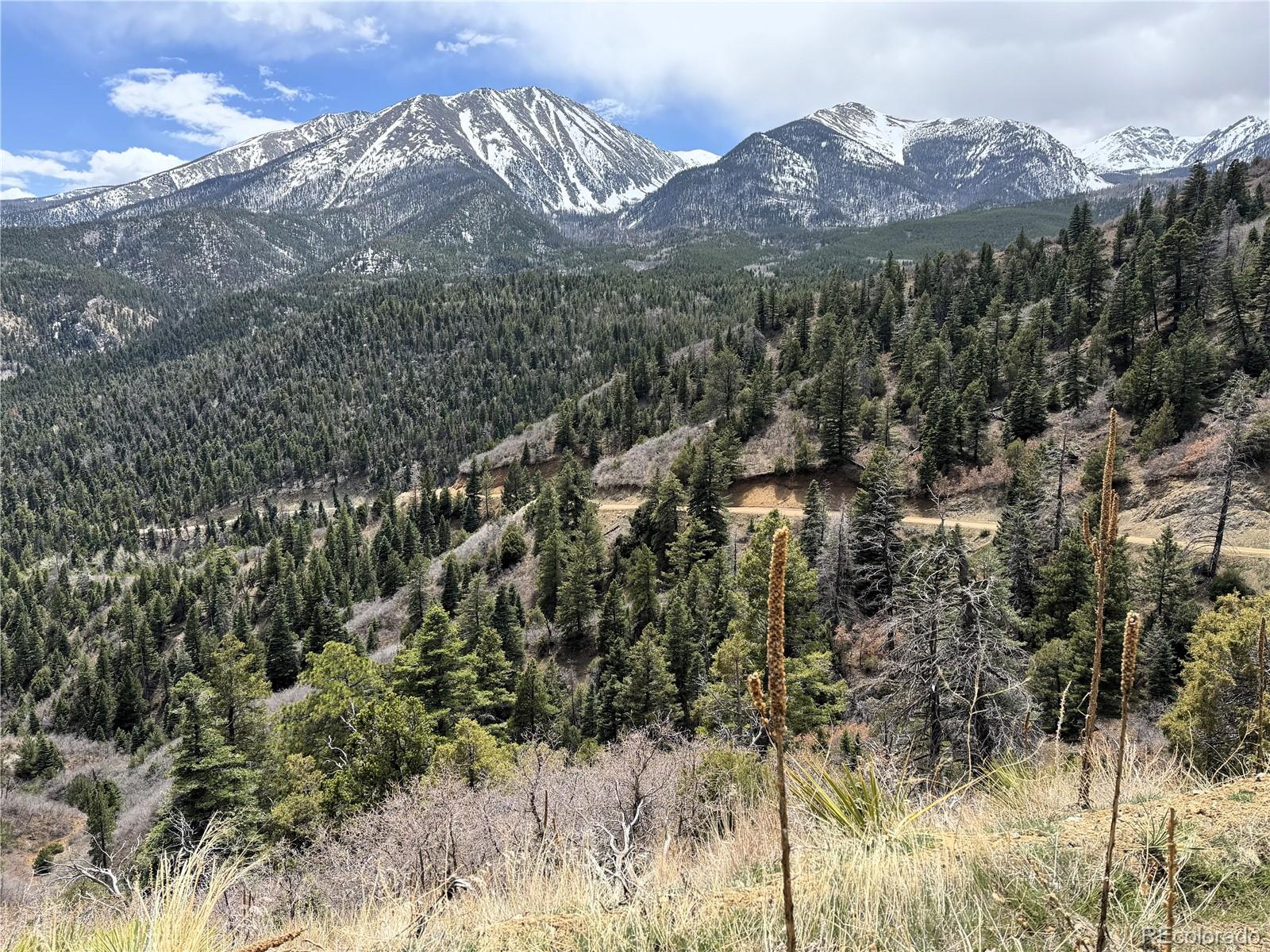 Knotty Pine Road Salida, CO 81201 - Photo 1 of 21