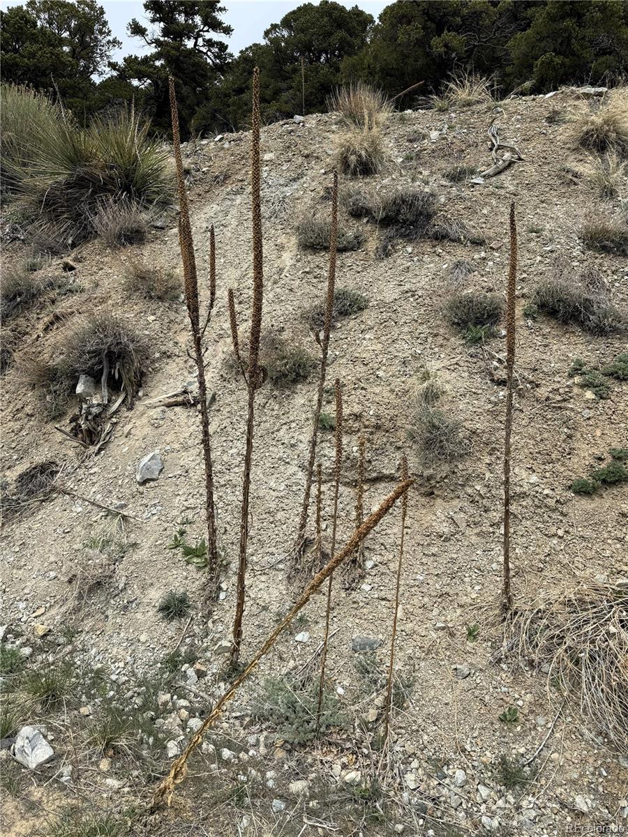 Knotty Pine Road Salida, CO 81201 - Photo 14 of 21