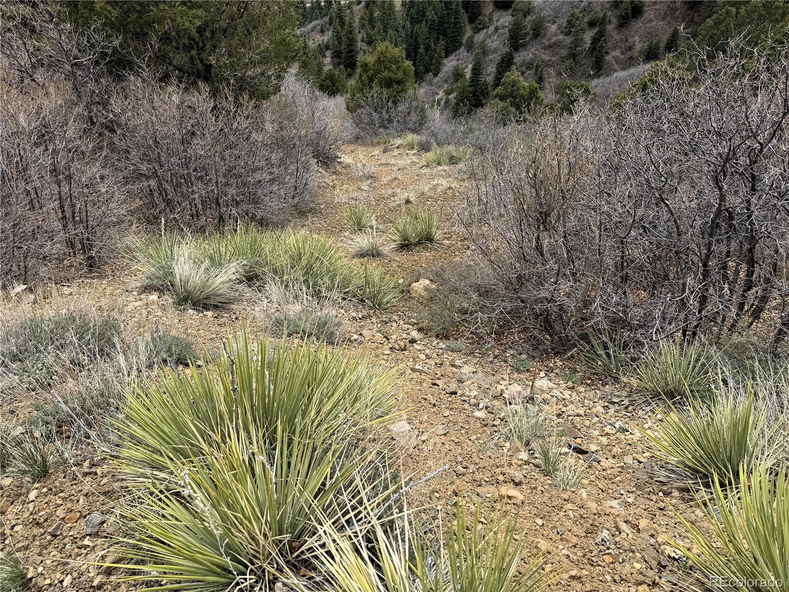 Knotty Pine Road Salida, CO 81201 - Photo 15 of 21