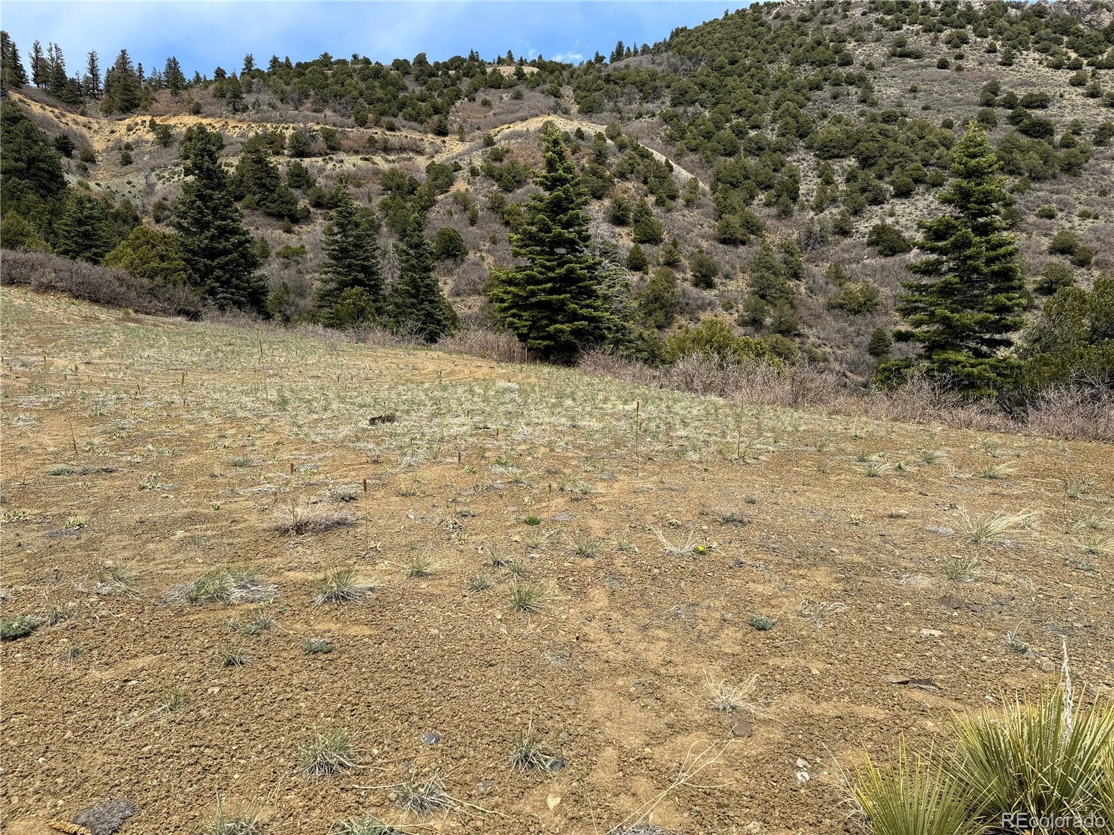 Knotty Pine Road Salida, CO 81201 - Photo 16 of 21