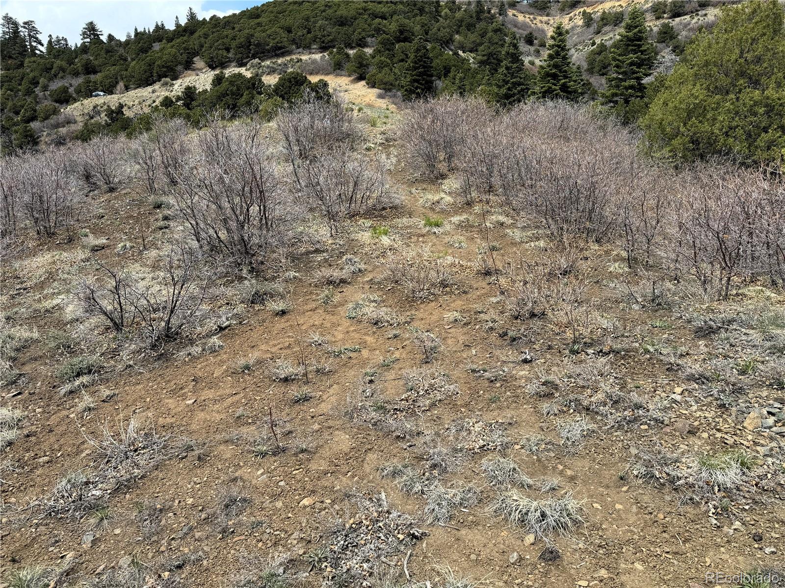 Knotty Pine Road Salida, CO 81201 - Photo 17 of 21