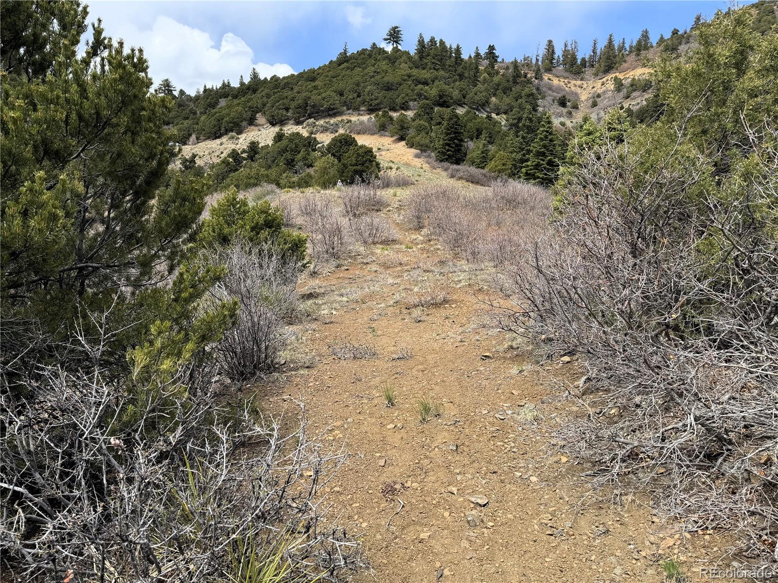 Knotty Pine Road Salida, CO 81201 - Photo 19 of 21