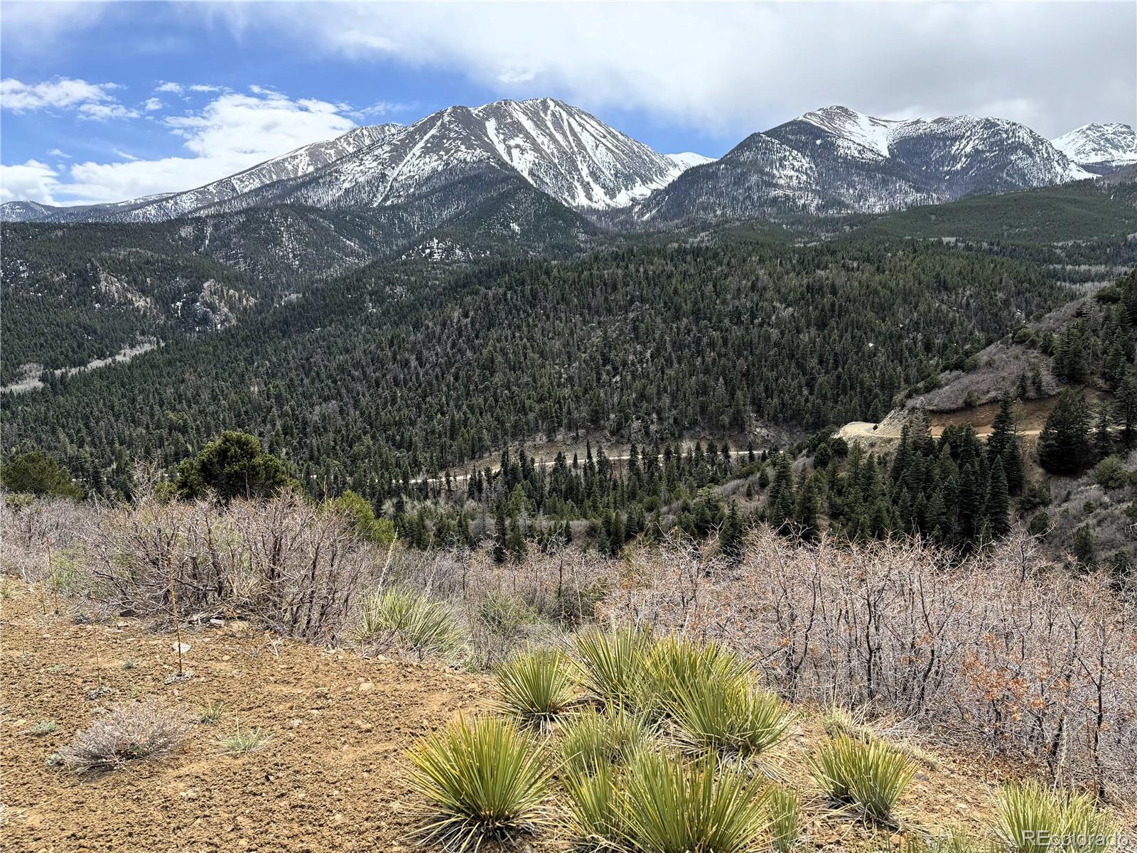 Knotty Pine Road Salida, CO 81201 - Photo 3 of 21