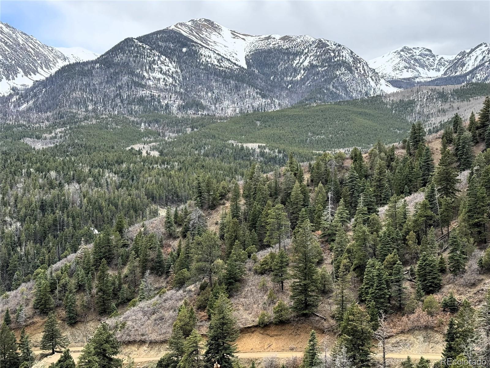 Knotty Pine Road Salida, CO 81201 - Photo 4 of 21