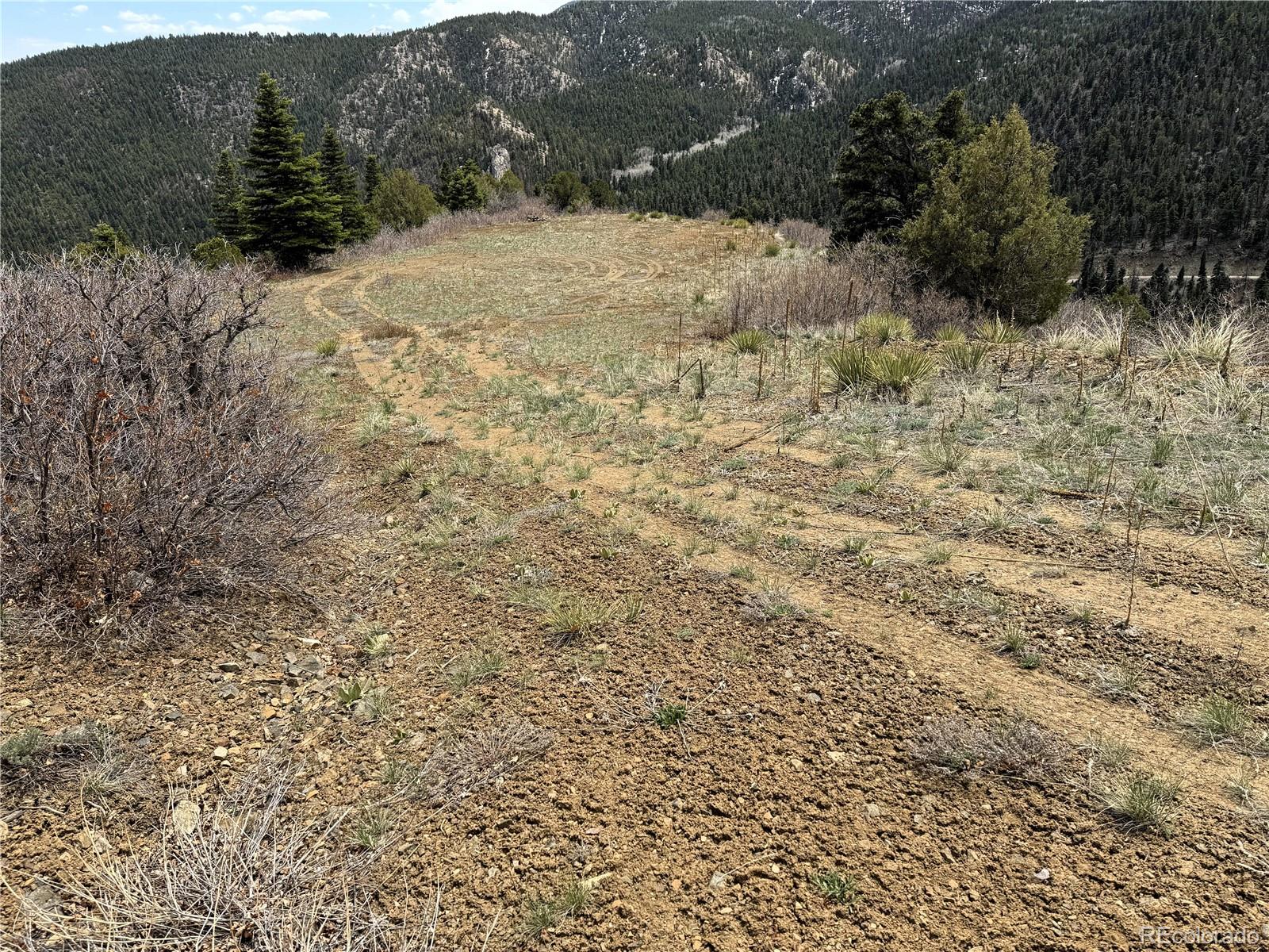 Knotty Pine Road Salida, CO 81201 - Photo 7 of 21