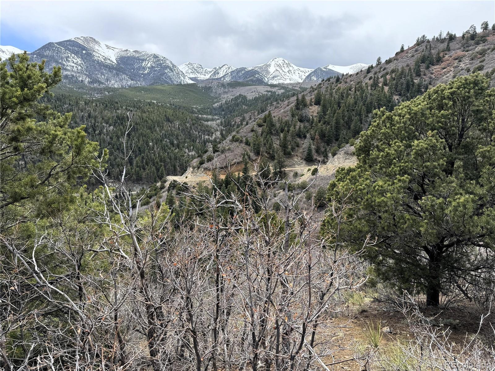 Knotty Pine Road Salida, CO 81201 - Photo 8 of 21