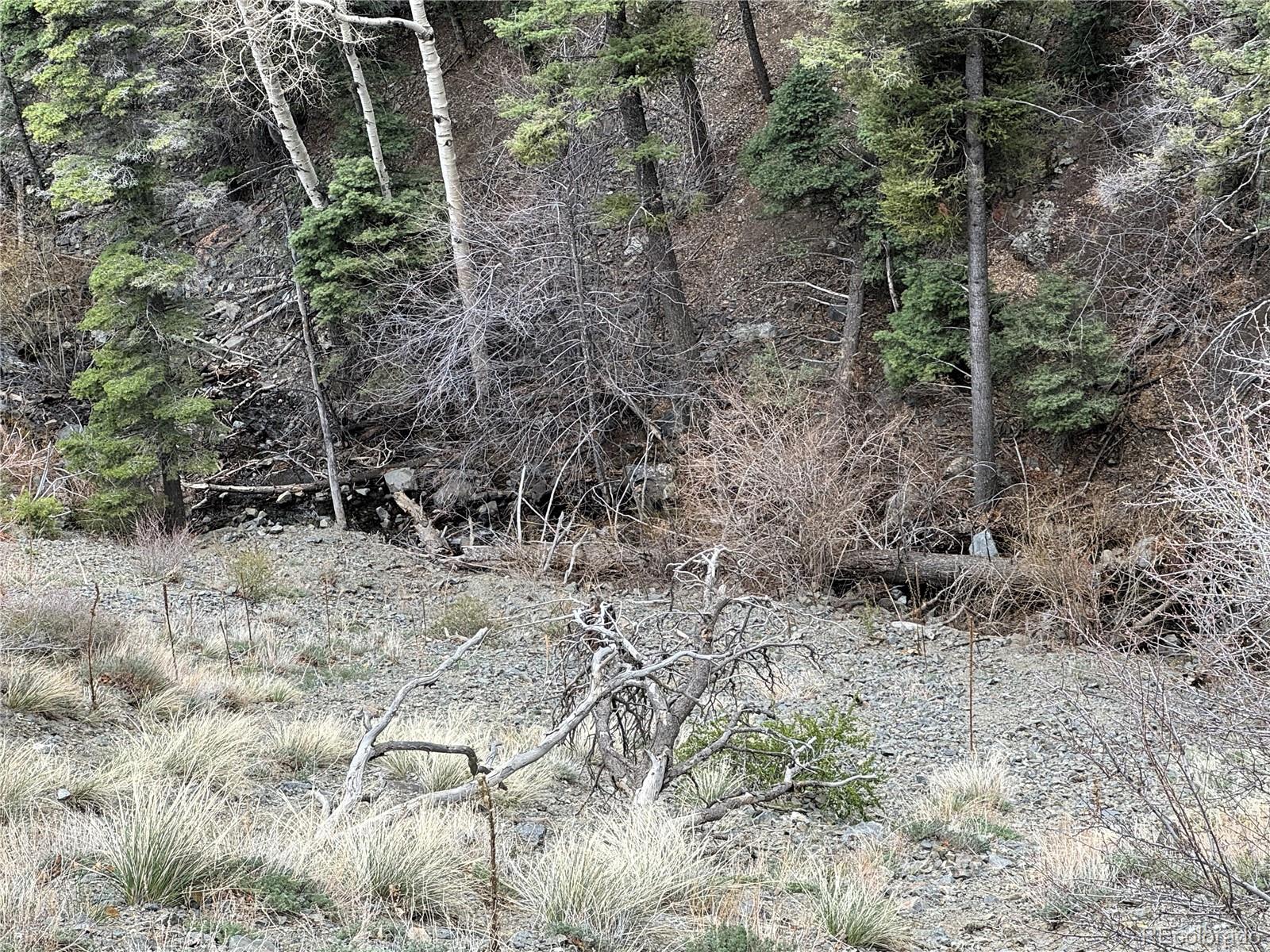 Knotty Pine Road Salida, CO 81201 - Photo 9 of 21