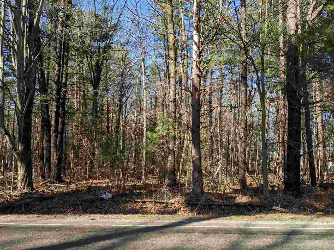 3000 North Hemlock Road Hemlock, MI 48626 - Photo 3 of 5