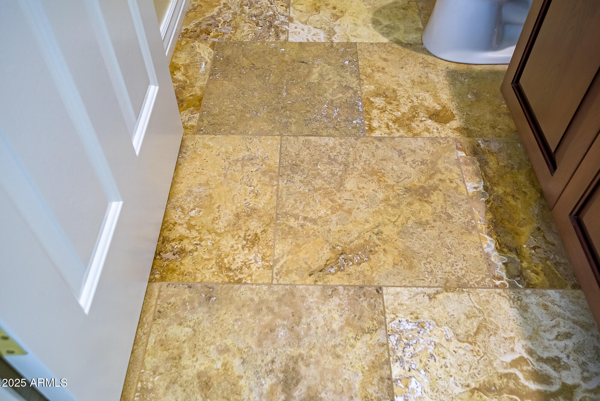 2240 West Legends Way Anthem, AZ 85086 - Photo 59 of 90 DSC_8835