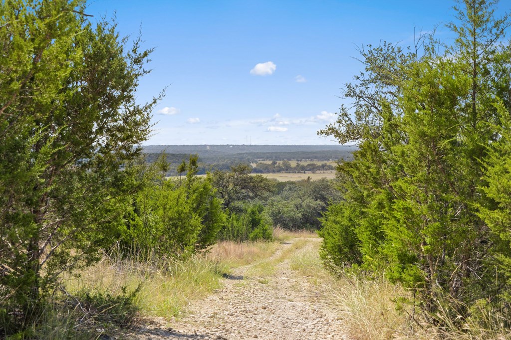 0 F-M 963 Briggs, TX 78608 - Photo 36 of 40 a view of a yard