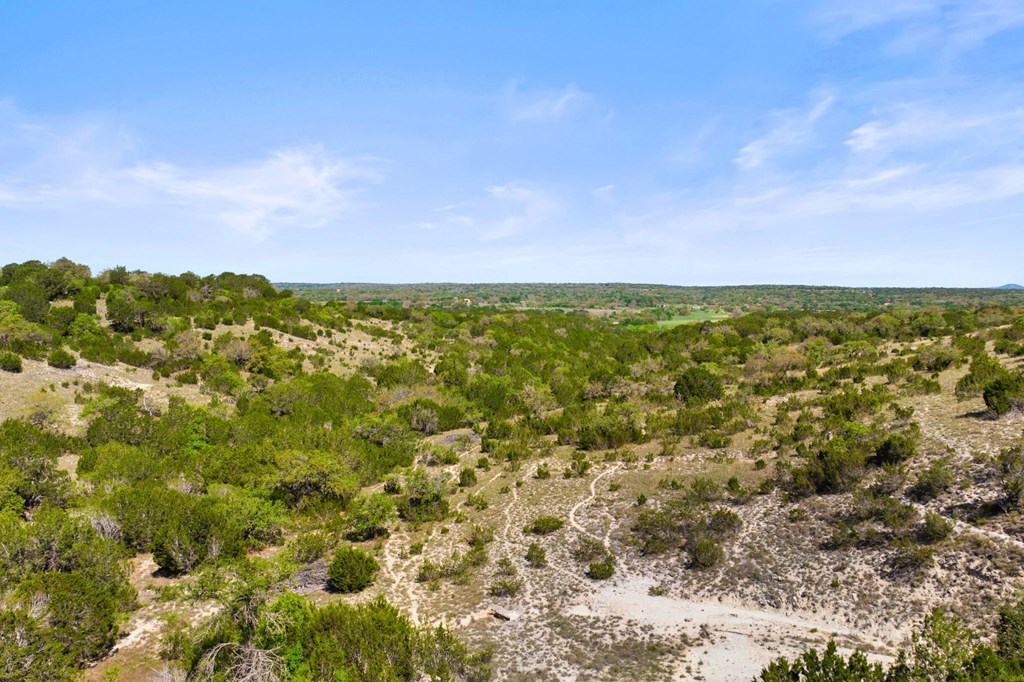 0 F-M 963 Briggs, TX 78608 - Photo 10 of 40 an aerial view of residential houses with outdoor space and trees all around