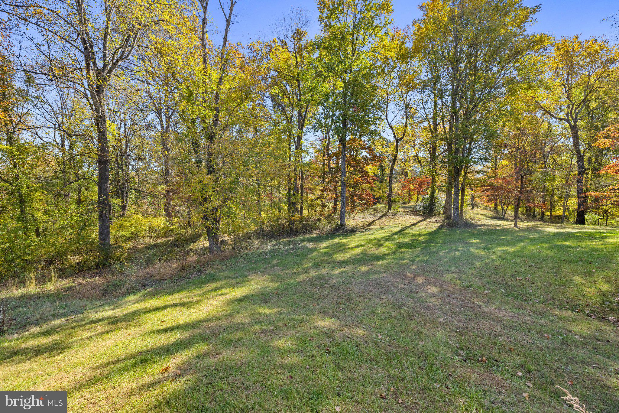 20962 Beaverdam Bridge Road Middleburg, VA 20117 - Photo 10 of 11 a view of backyard with tree