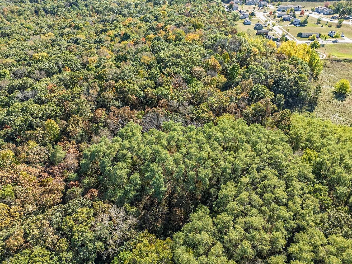 E11327 Shady Lane Road Baraboo, WI 53913 - Photo 15 of 50