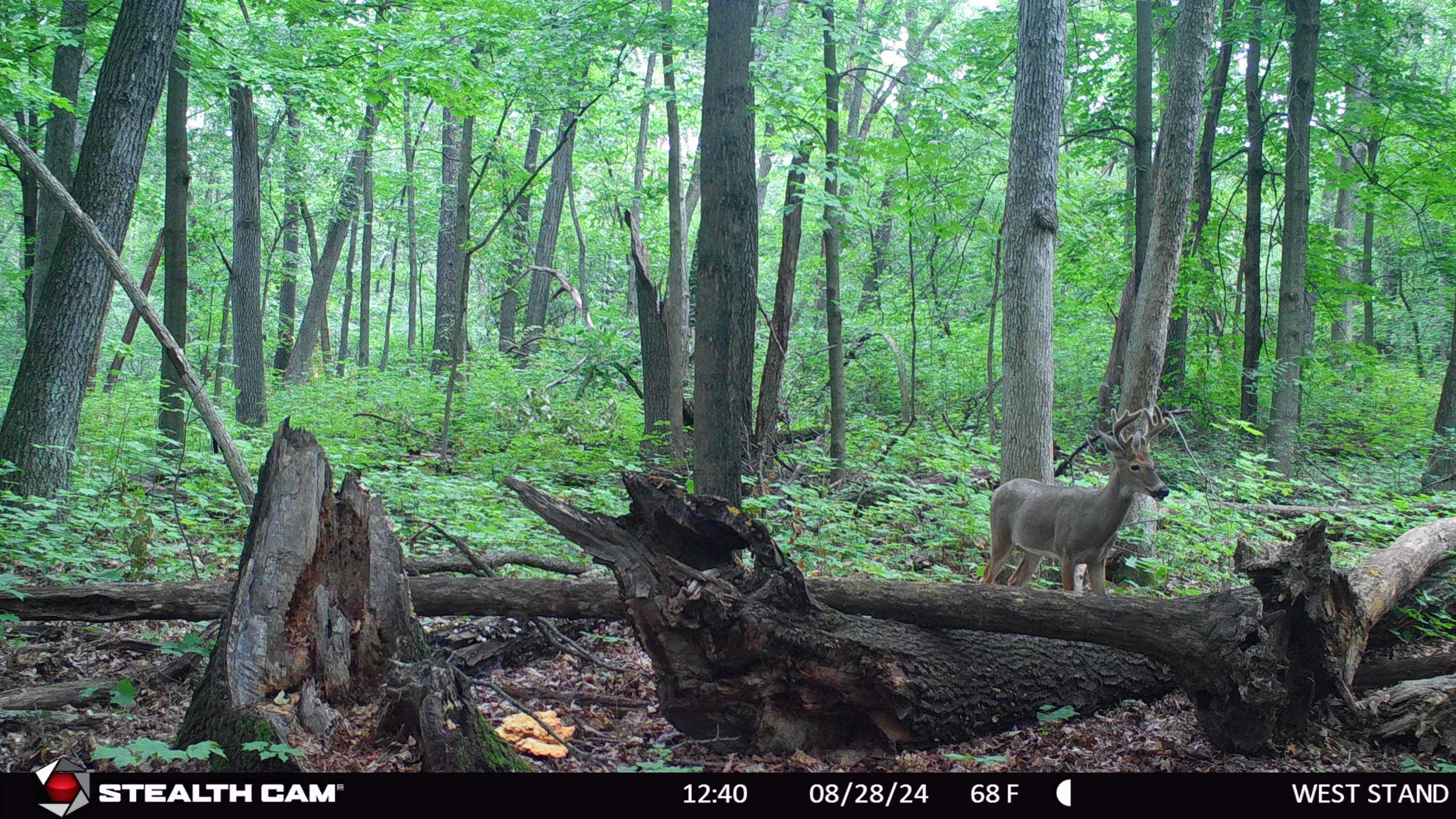 E11327 Shady Lane Road Baraboo, WI 53913 - Photo 24 of 50