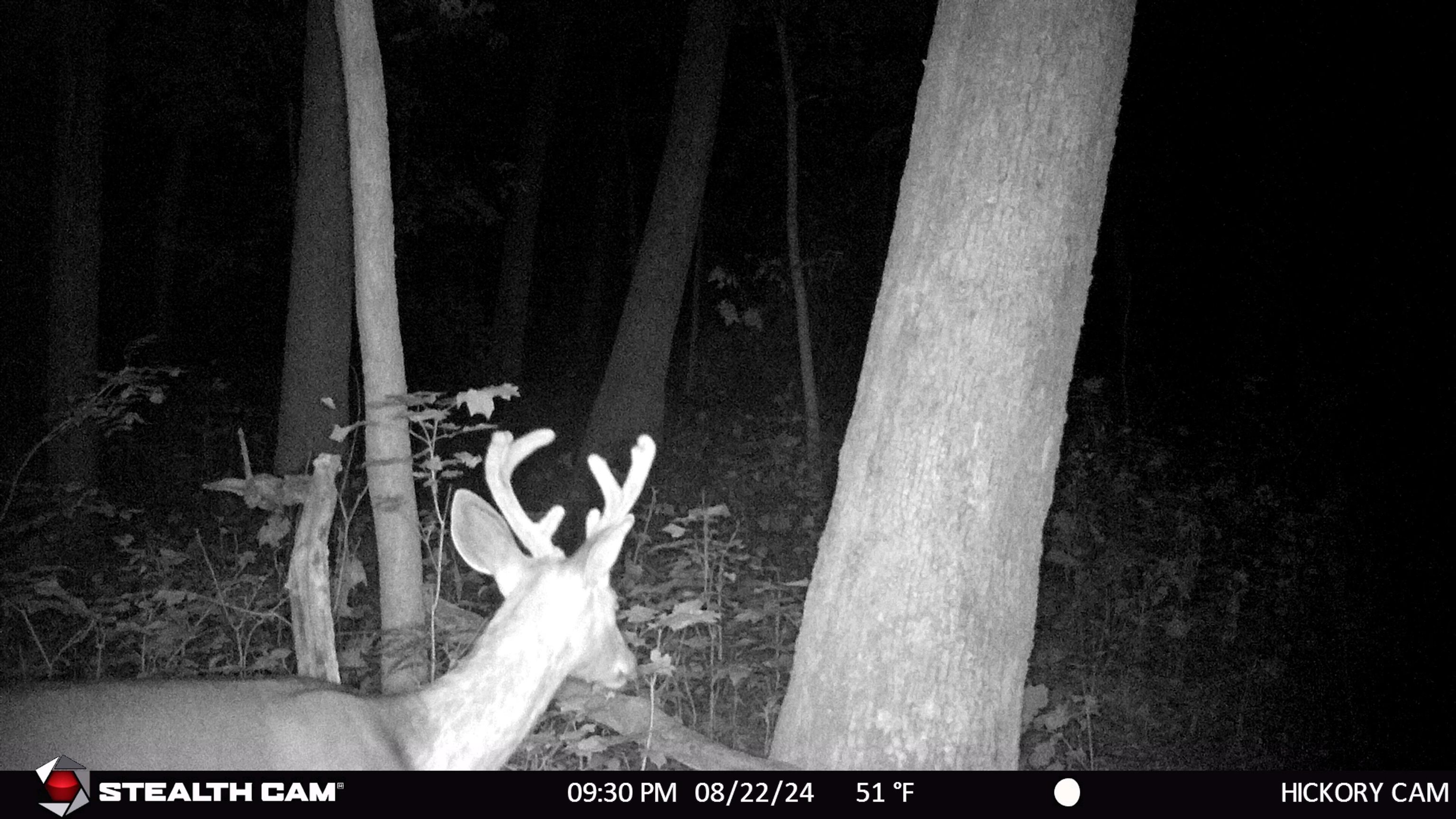 E11327 Shady Lane Road Baraboo, WI 53913 - Photo 26 of 50