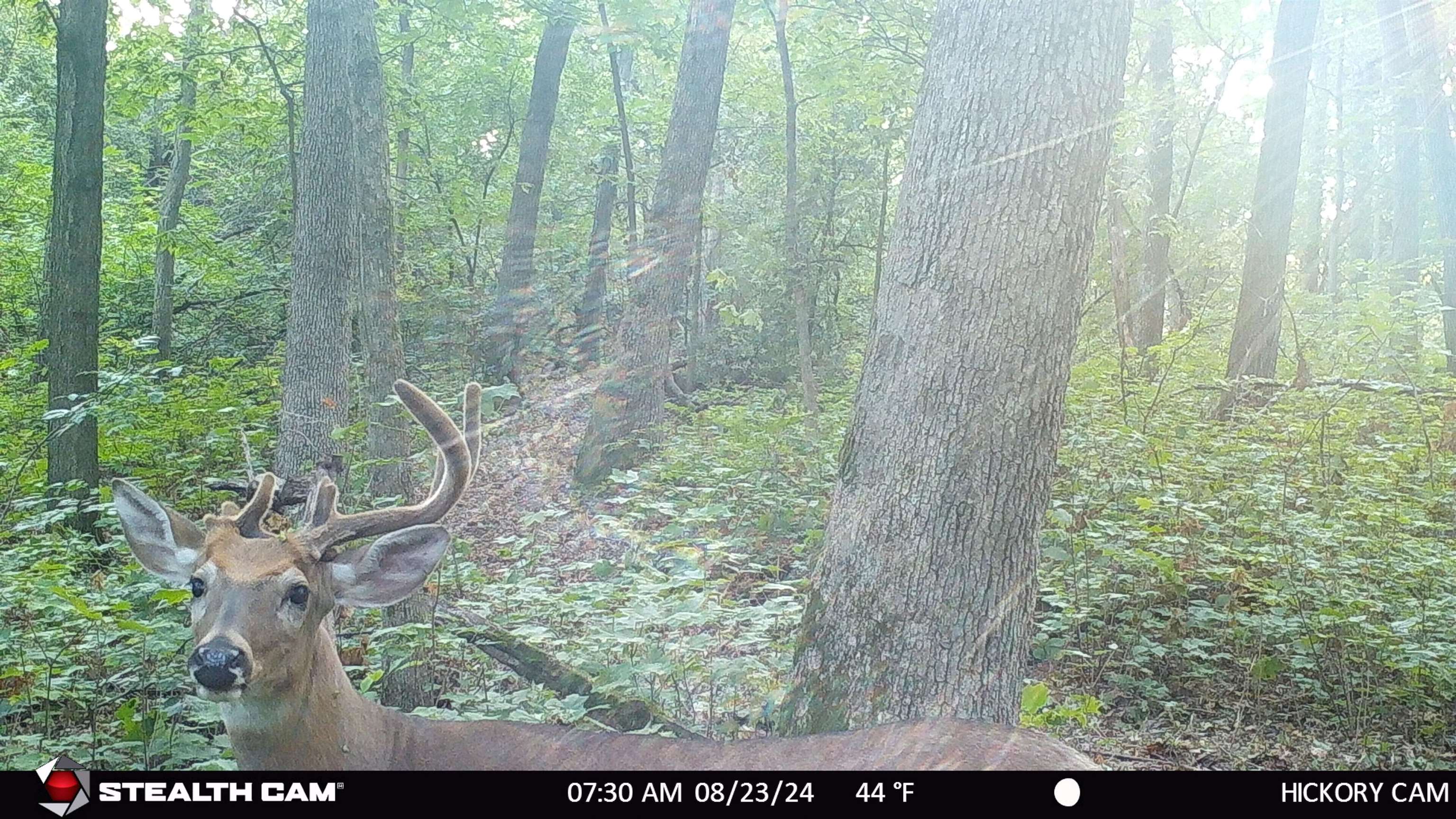 E11327 Shady Lane Road Baraboo, WI 53913 - Photo 27 of 50