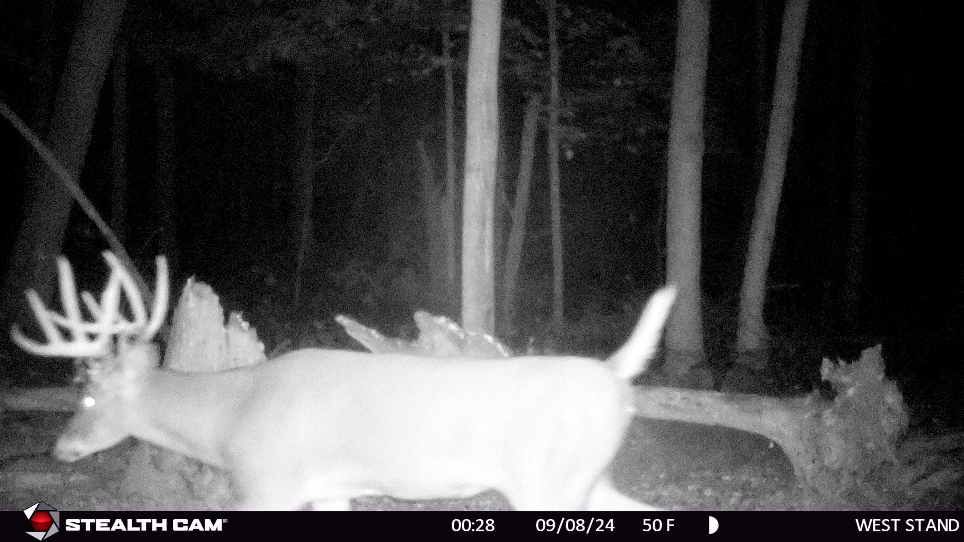 E11327 Shady Lane Road Baraboo, WI 53913 - Photo 4 of 50