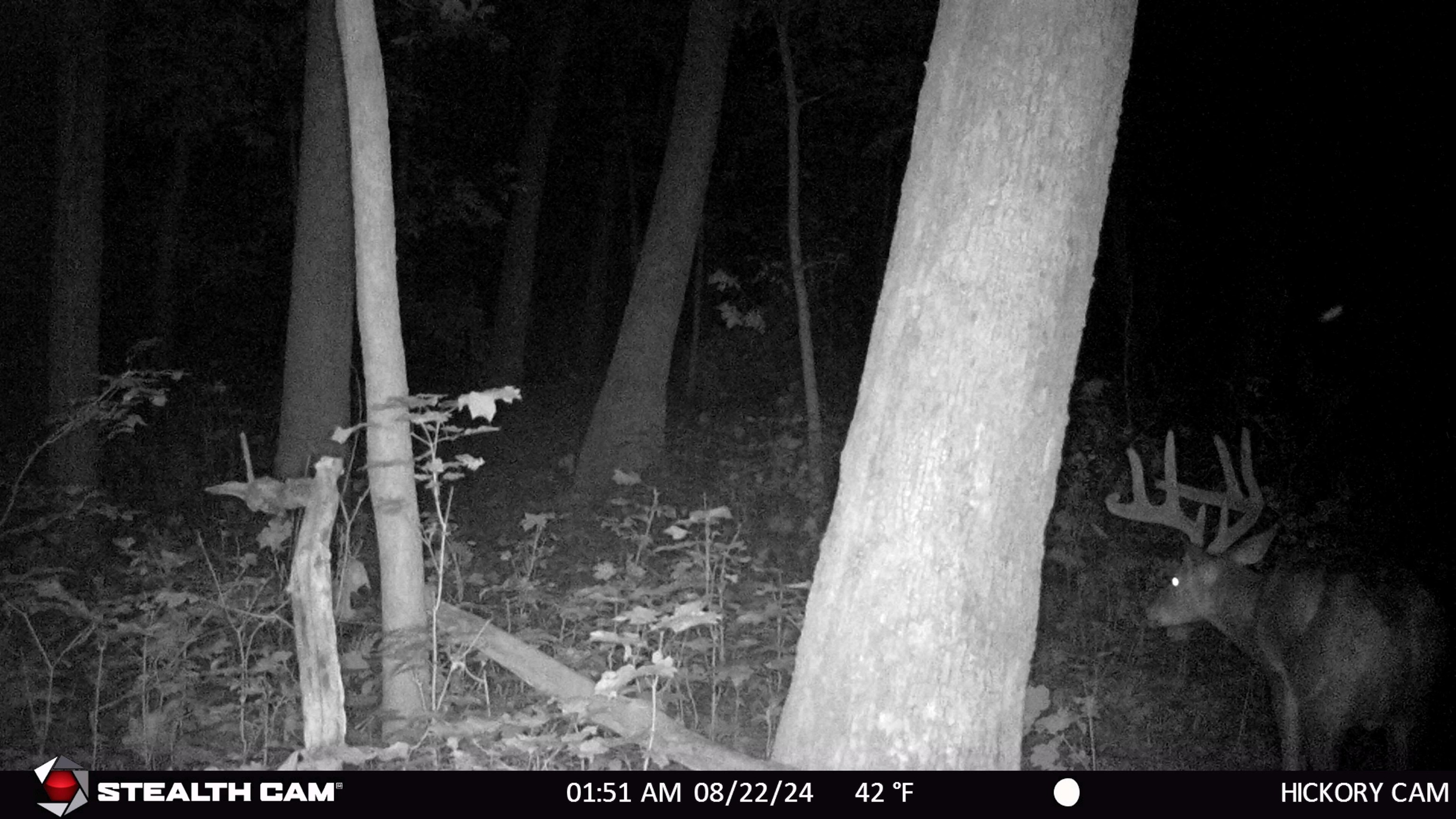 E11327 Shady Lane Road Baraboo, WI 53913 - Photo 6 of 50