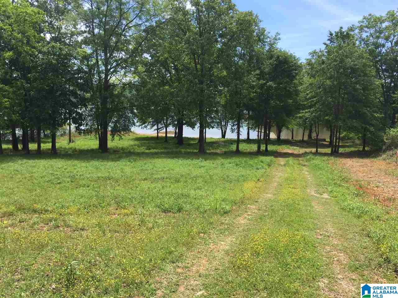 Ranch Marina Road Pell City, AL 35128 - Photo 3 of 8