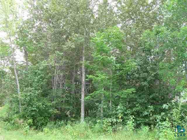 - Pioneer Road Ely, MN 55731 - Photo 4 of 5 Gallery Image 4