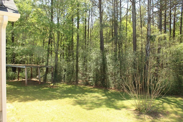 11 Dillard Road Forsyth, GA 31029 - Photo 14 of 14 a view of swimming pool from a lake view