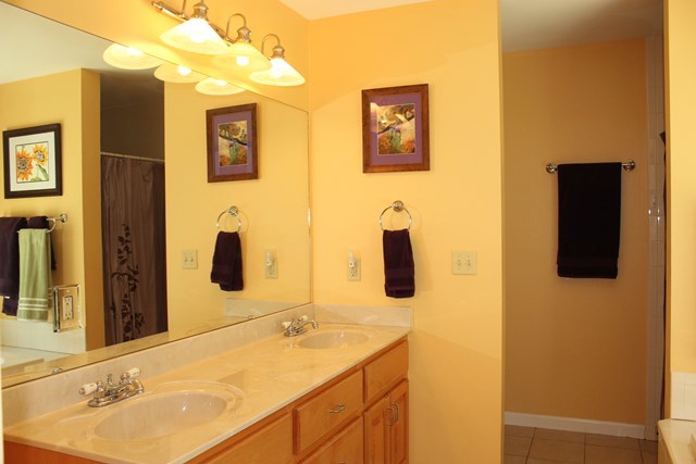 11 Dillard Road Forsyth, GA 31029 - Photo 8 of 14 a bathroom with a sink and a mirror