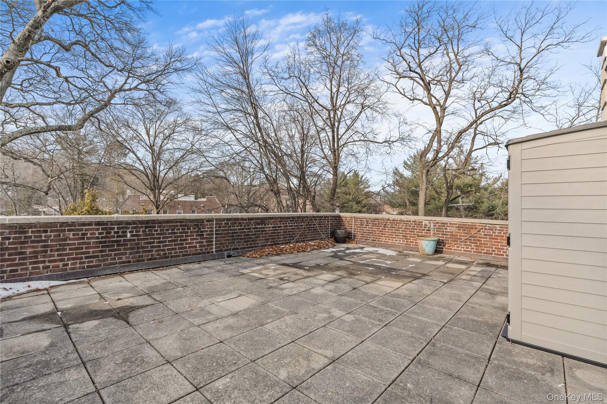 822 Palmer Road, Unit 3B Bronxville, NY 10708 - Photo 18 of 19 a view of backyard and trees
