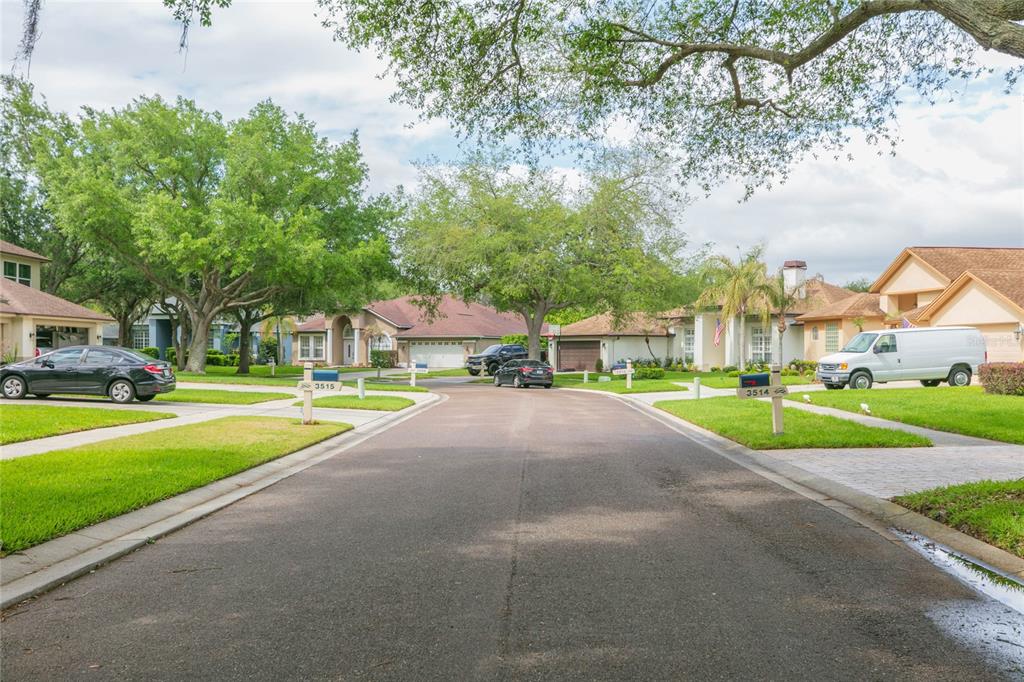 3516 Shadowood Drive Valrico, FL 33596 - Photo 42 of 56
