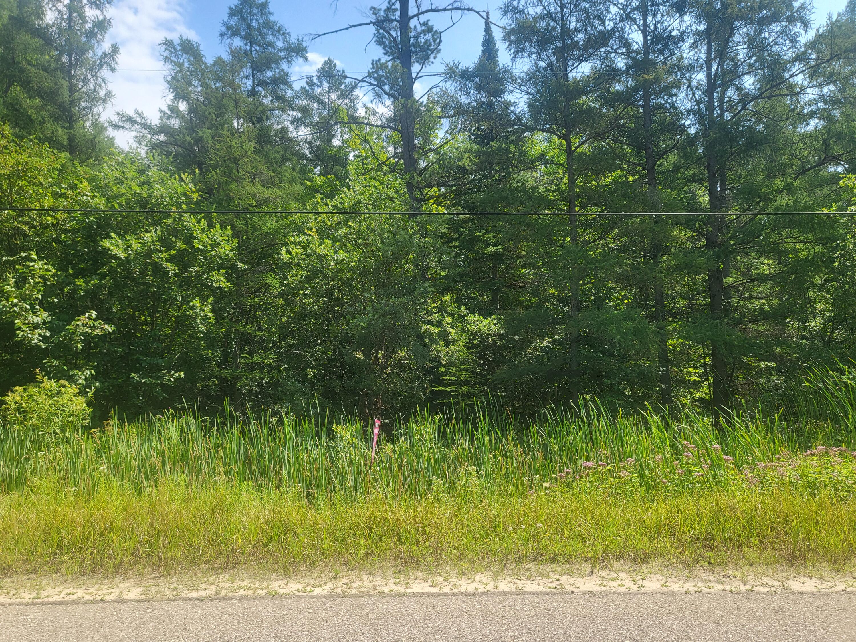 Vl Eagle Point Road Grayling, MI 49738 - Photo 1 of 8 1000026780