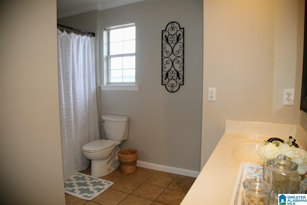 5965 Spunky Hollow Road Locust Fork, AL 35097 - Photo 10 of 17