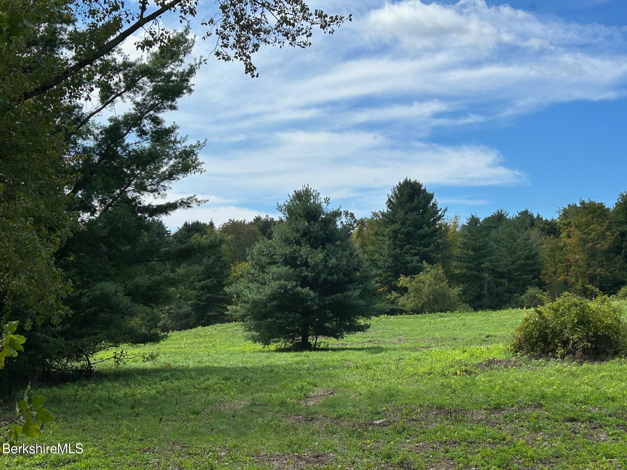 0 Brewer Branch Road Southfield, MA 01259 - Photo 2 of 13 IMG_4359