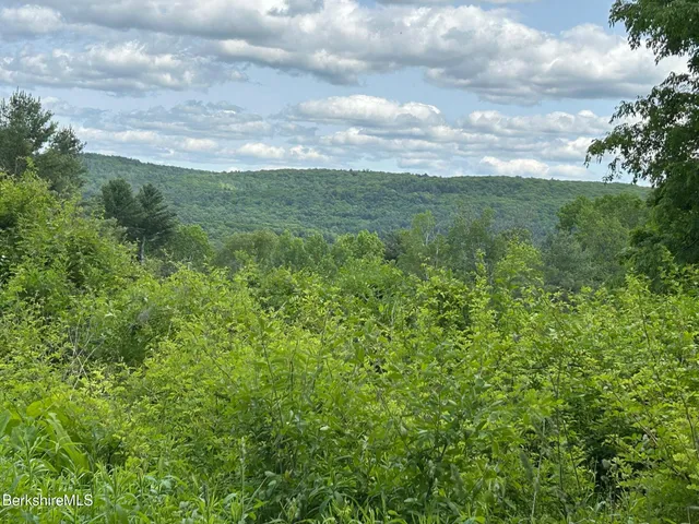 $365,000 | 0 Brewer Branch Road, Southfield, MA 01259