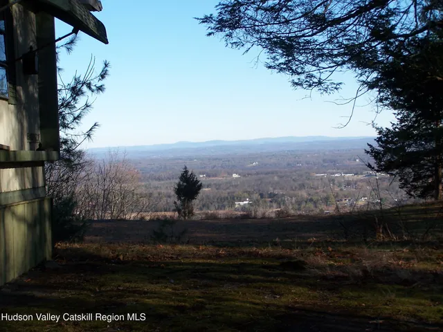 a view of a field with trees in background