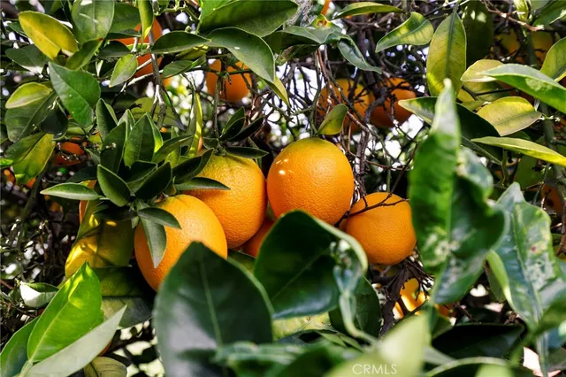 $795,000 | 13345 Calcutta Street, Sylmar, CA 91342