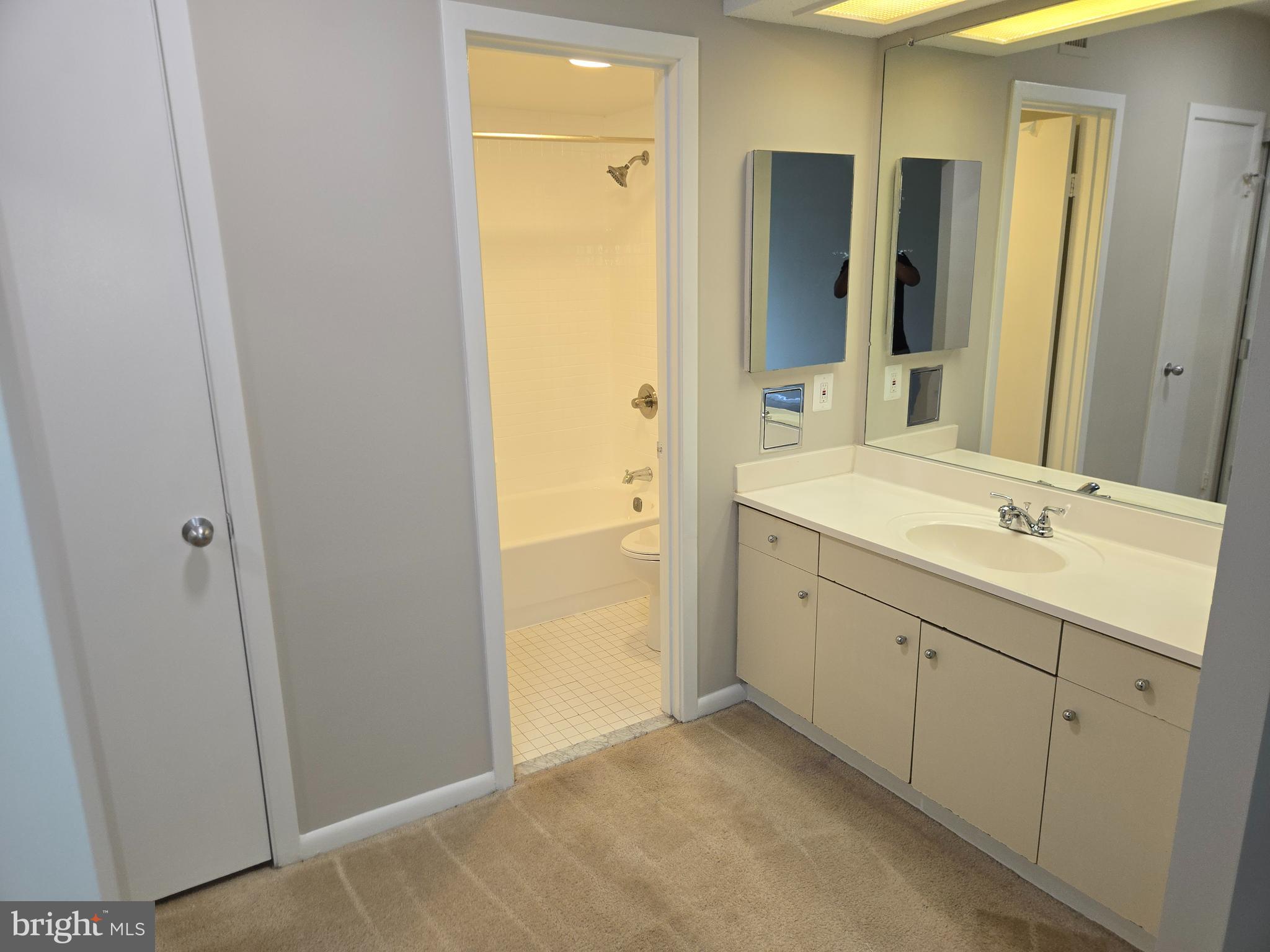 5501 Seminary Road, Unit 214S Falls Church, VA 22041 - Photo 11 of 27 a spacious bathroom with a double vanity sink a large mirror and a shower