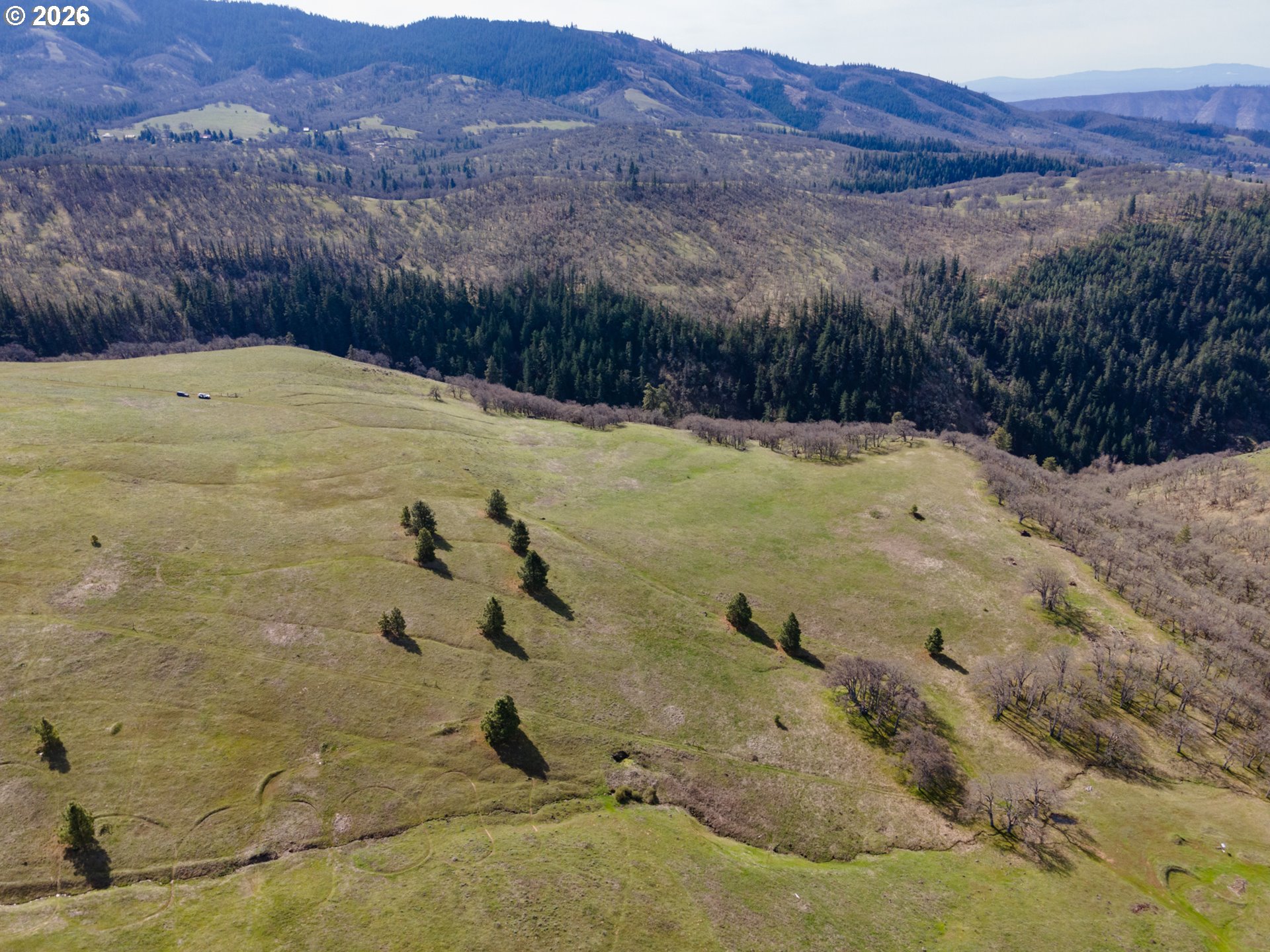 60 Hartwig Road Lyle, WA 98635 - Photo 16 of 44 Gallery Image 16