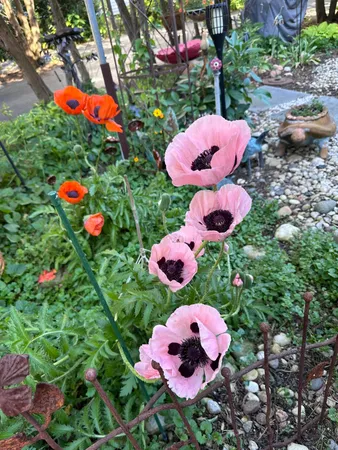 $420,000 | 131 Oakland Avenue, Mukwonago, WI 53149