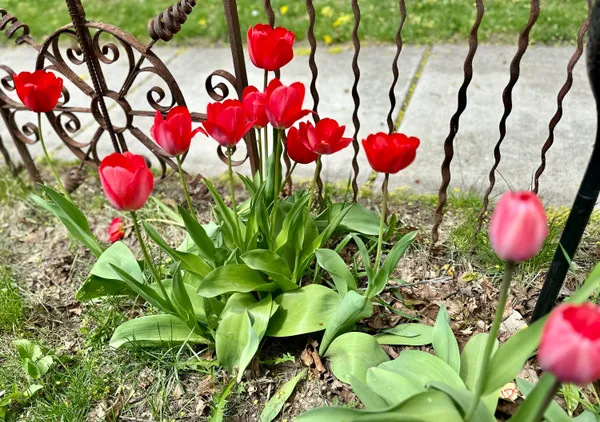 $420,000 | 131 Oakland Avenue, Mukwonago, WI 53149