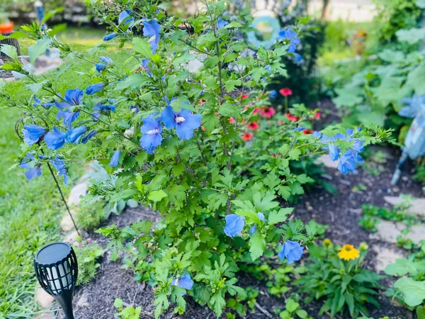 $420,000 | 131 Oakland Avenue, Mukwonago, WI 53149